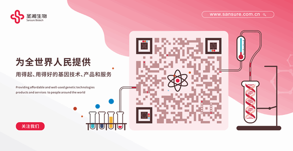 雷火·竞技(中国)-全球领先的电竞赛事平台